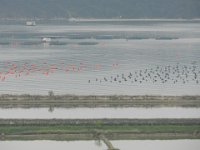 DSCN5557