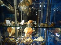 DSCN5632