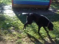 CAM00496  GoogleUploaded