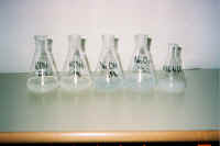 poskusBaze.jpg (20680 bytes)