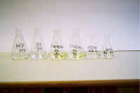 poskusKisline.jpg (19271 bytes)