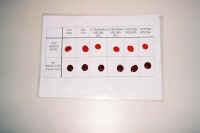 poskusSokRdecePese+metiloran�.jpg (19344 bytes)