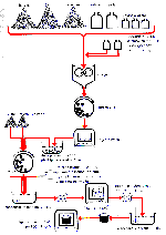emajl.gif (2502 bytes)