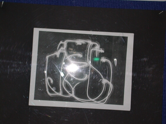 Klikni za naslednjo fotografijo