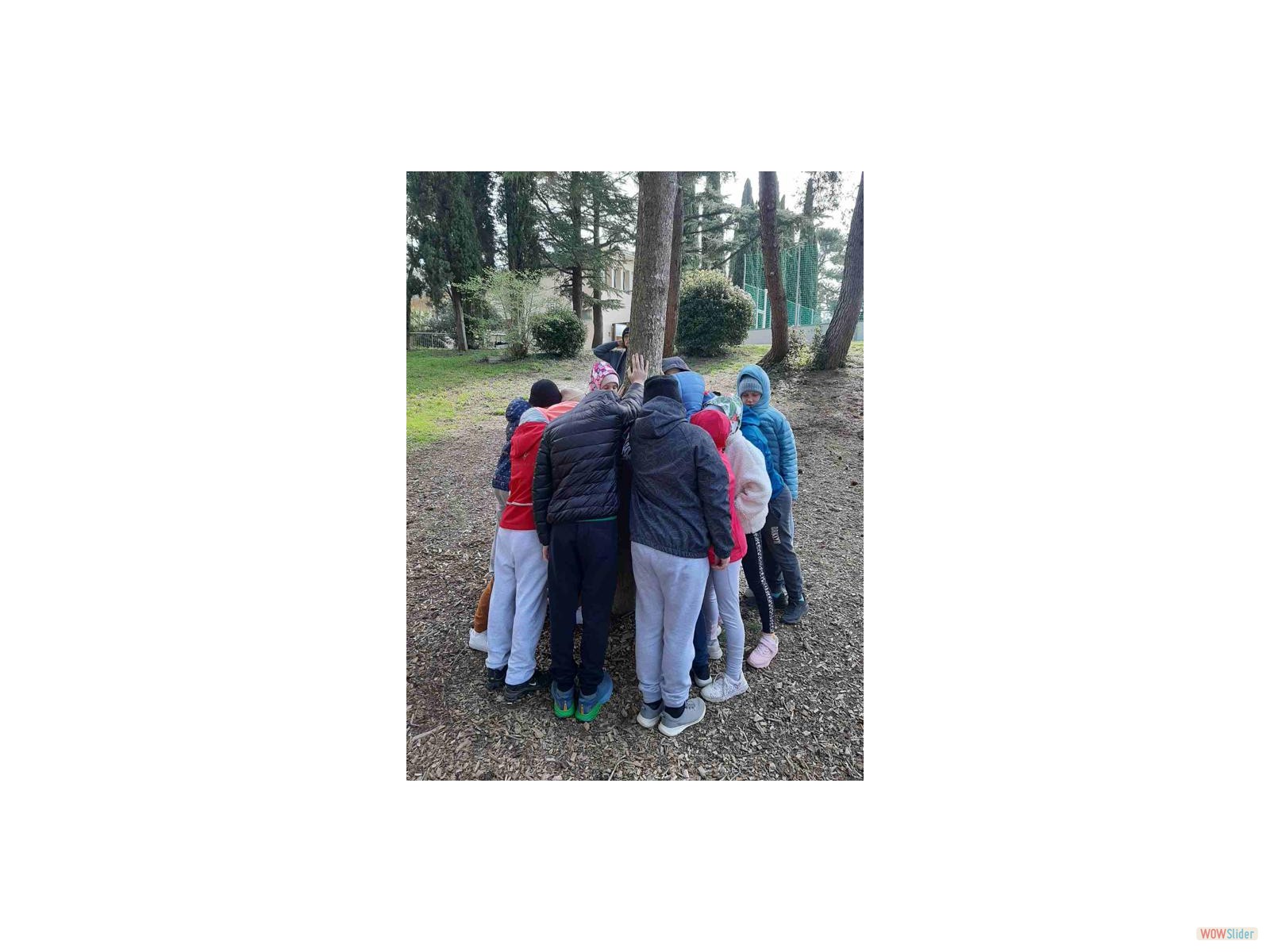 IMG-5239722c95ab7caff2820474ebf977d8-V