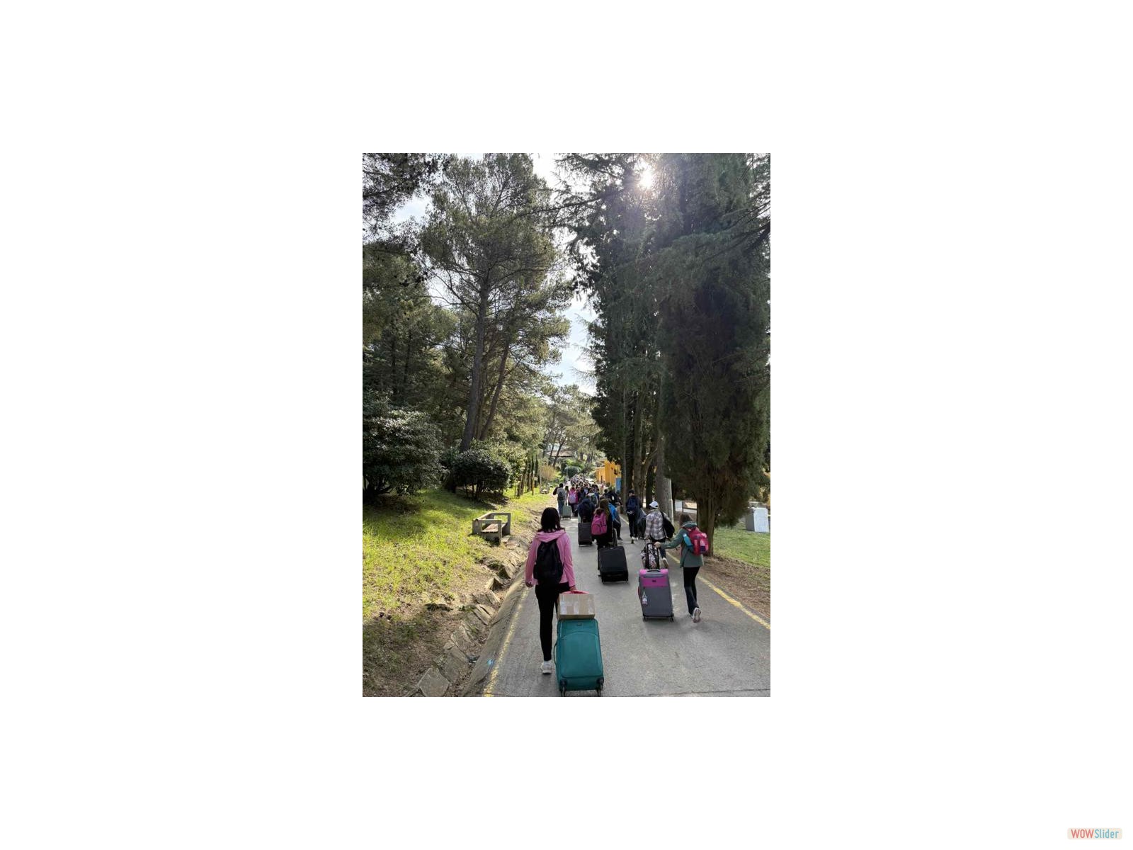 IMG-6223506e1d3e70f30c241bba407bf893-V