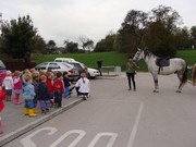 Mojca predstavi svojega konja