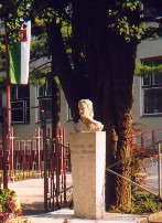 sola2.jpg (15631 bytes)