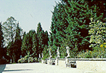 BARONI VRT GRADU STRMOL