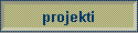 projekti