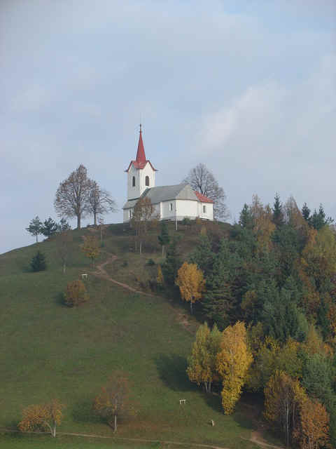 d_resize.JPG (76445 bytes)