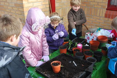 Otroci pri sajenju