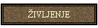�IVLJENJE