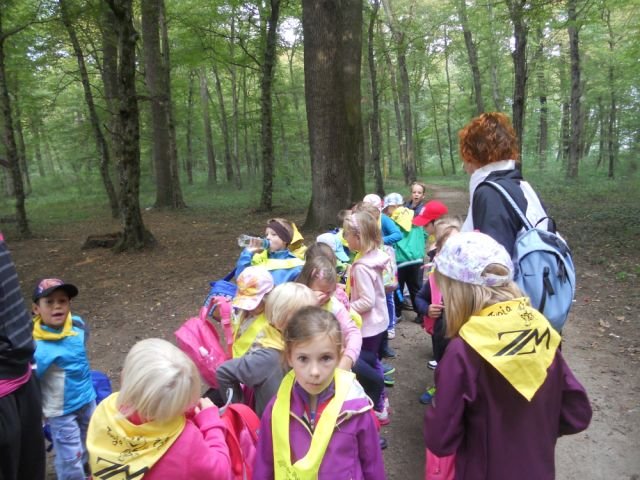 Prvošolčki na športnem dnevu