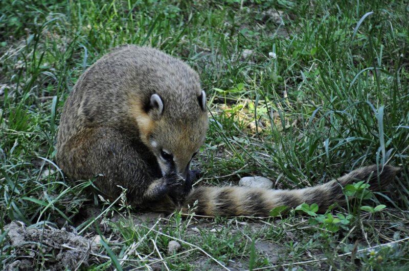 1. razredi na izletu