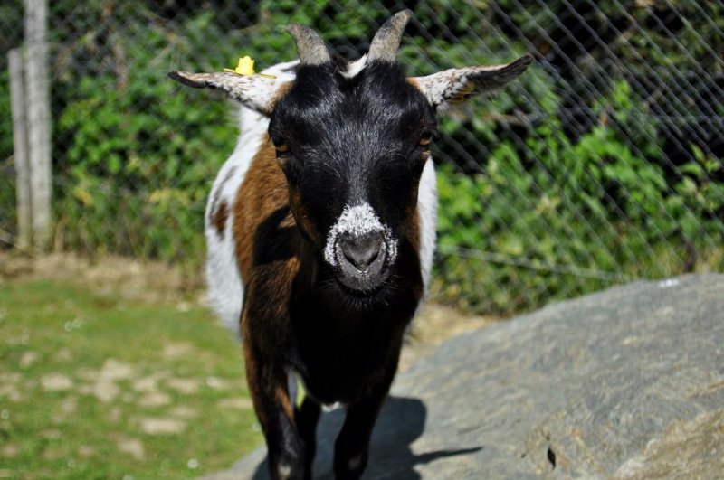 1. razredi na izletu