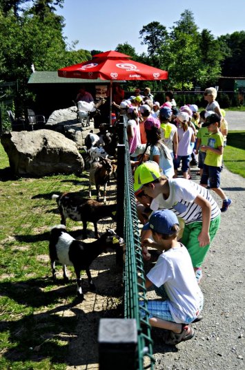 1. razredi na izletu