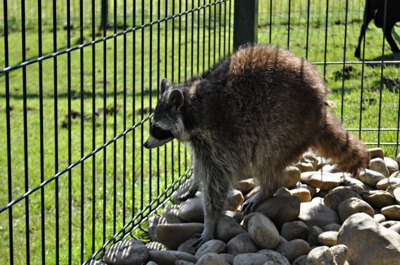 1. razredi na izletu