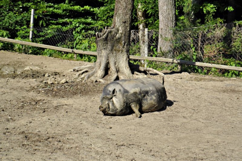 1. razredi na izletu