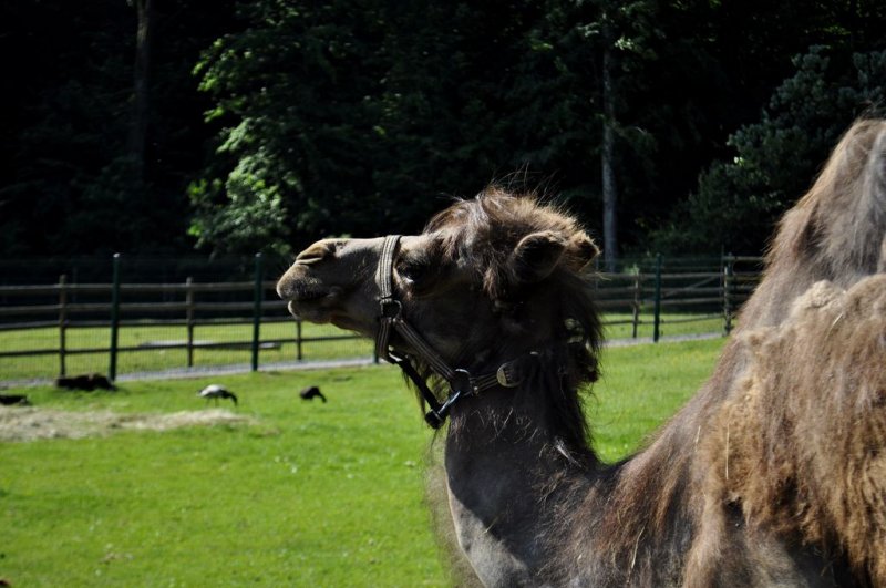 1. razredi na izletu