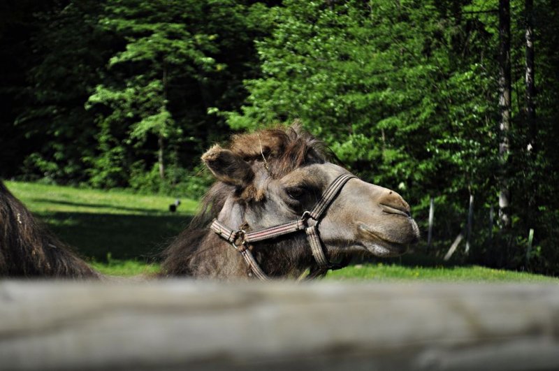 1. razredi na izletu