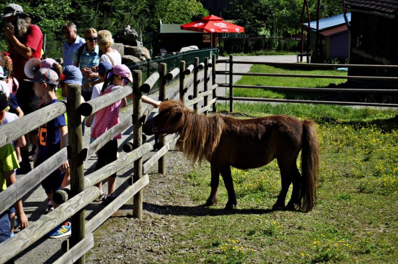 1. razredi na izletu