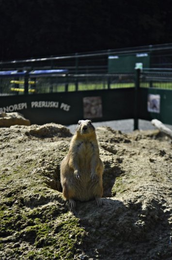1. razredi na izletu