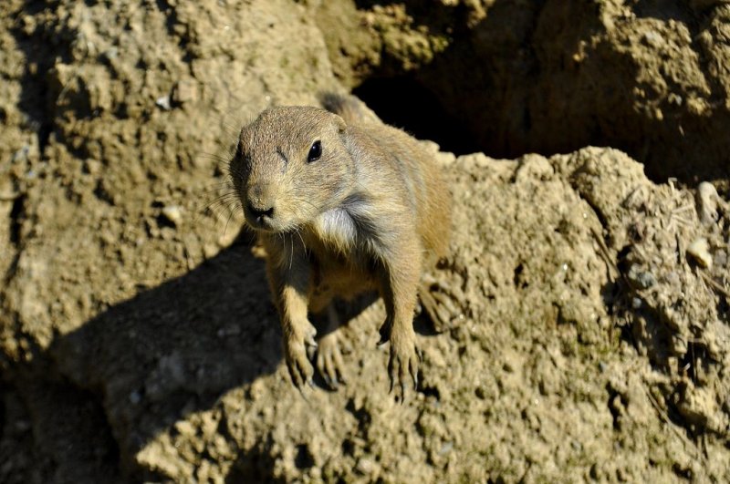 1. razredi na izletu