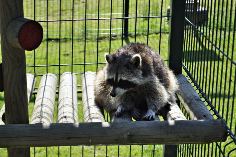 1. razredi na izletu