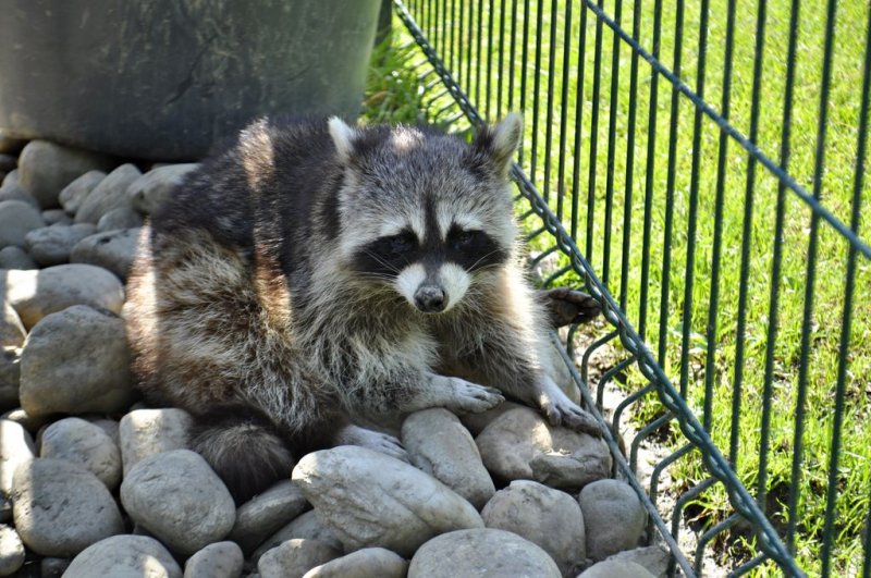 1. razredi na izletu