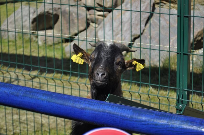 1. razredi na izletu