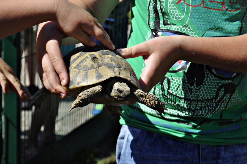 1. razredi na izletu
