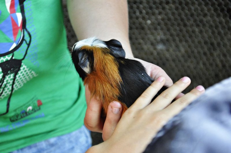 1. razredi na izletu