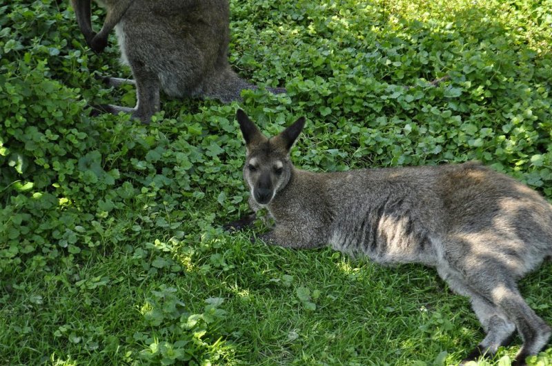 1. razredi na izletu