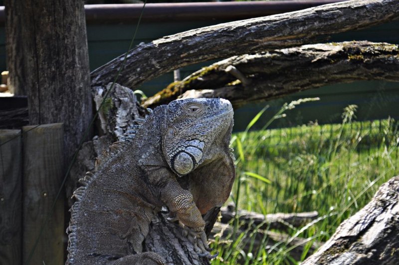 1. razredi na izletu
