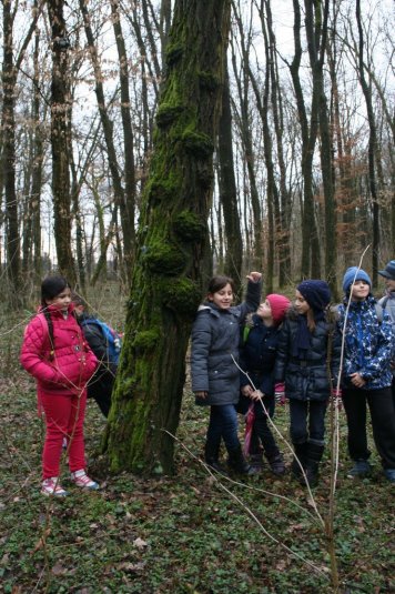 4.a - drsanje in pohod