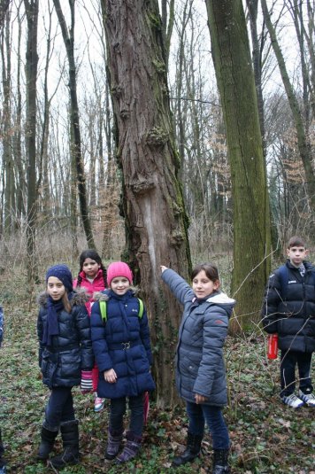 4.a - drsanje in pohod