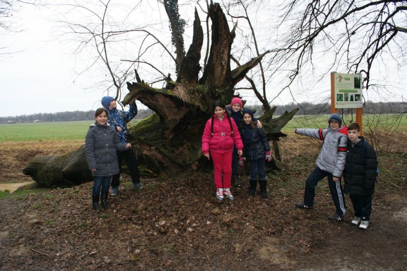 4.a - drsanje in pohod