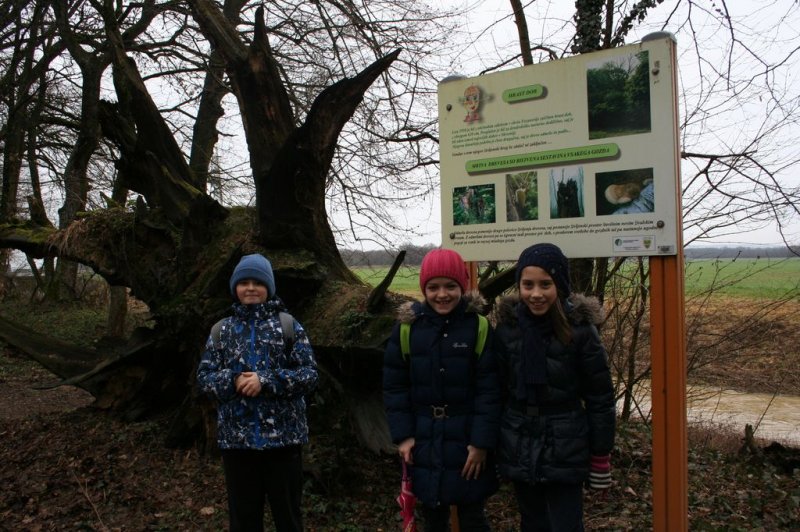 4.a - drsanje in pohod