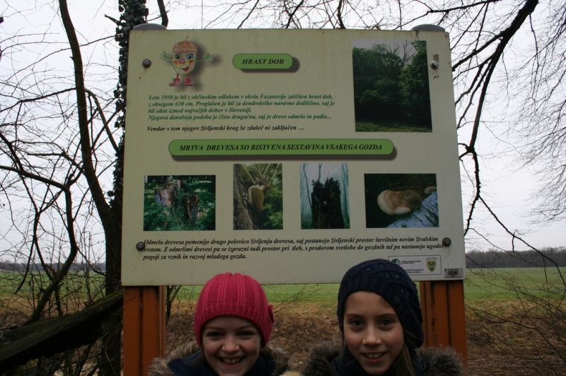 4.a - drsanje in pohod