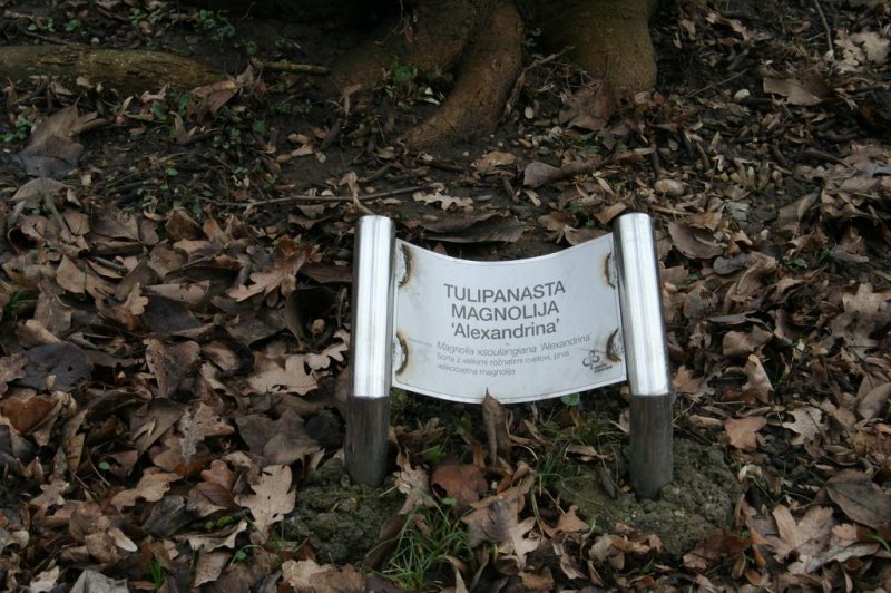 4.a - drsanje in pohod