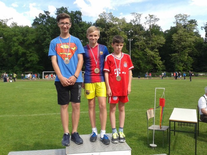 Področno prvenstvo v atletiki