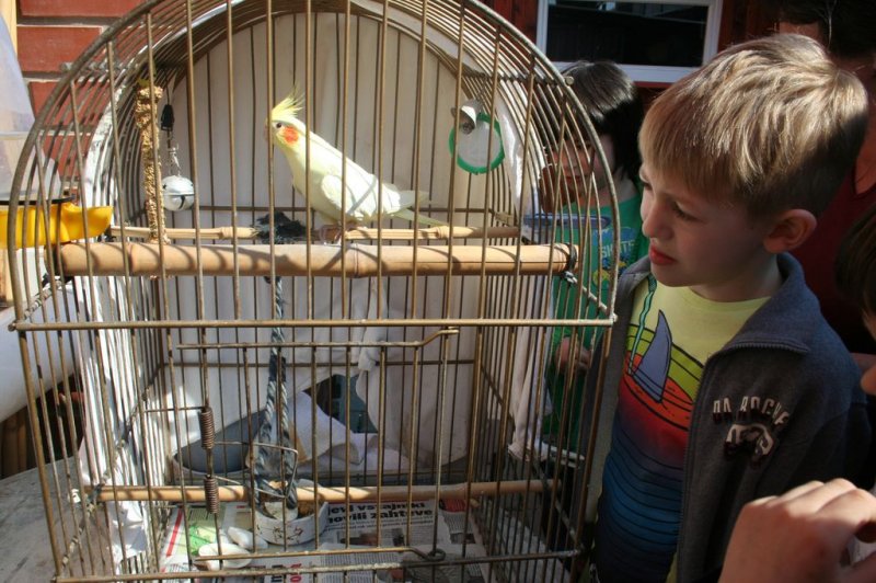 Obisk pri sošolki Anemarie