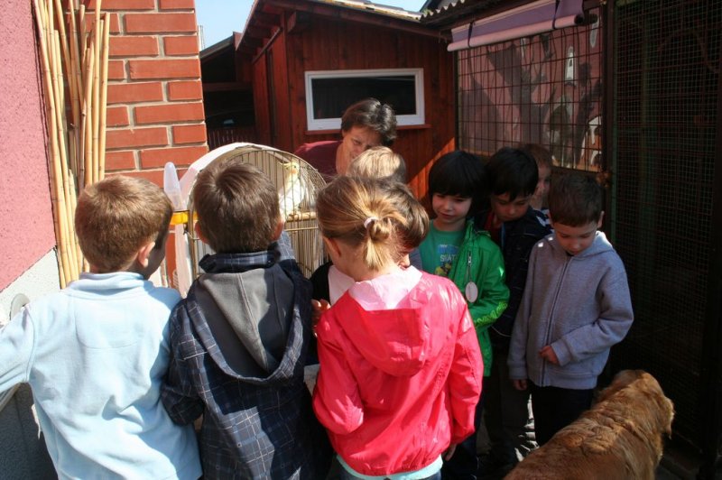 Obisk pri sošolki Anemarie