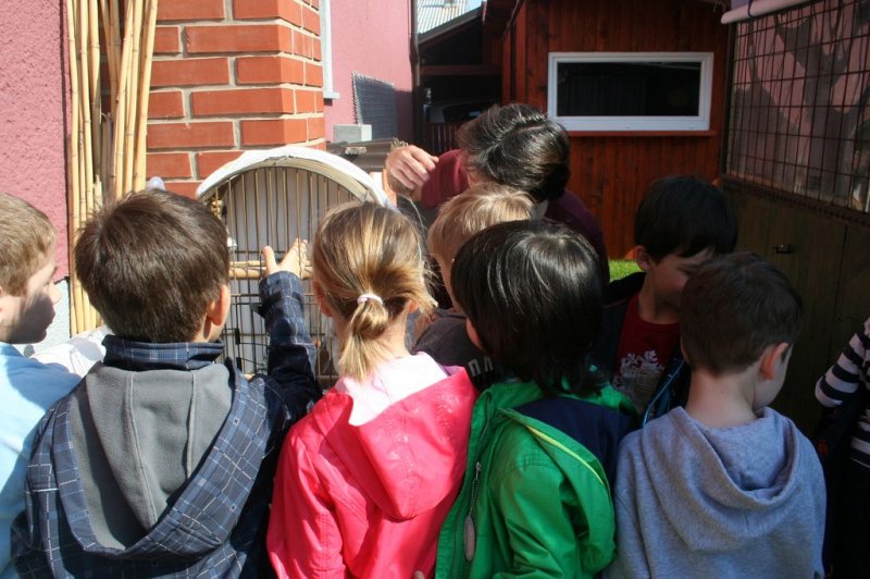 Obisk pri sošolki Anemarie