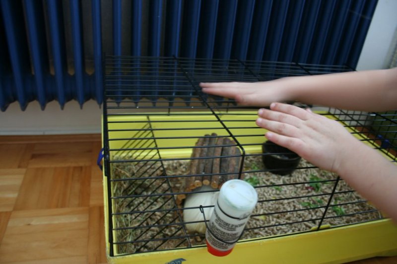 Obisk pri sošolki Anemarie