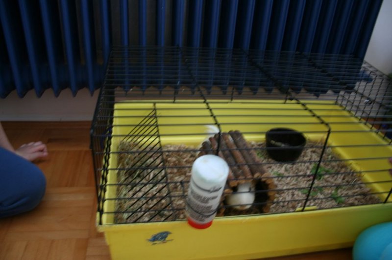 Obisk pri sošolki Anemarie