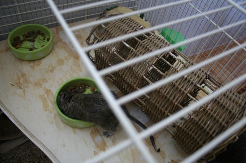 Obisk pri sošolki Anemarie