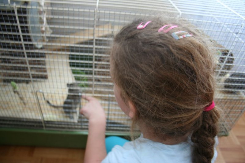 Obisk pri sošolki Anemarie