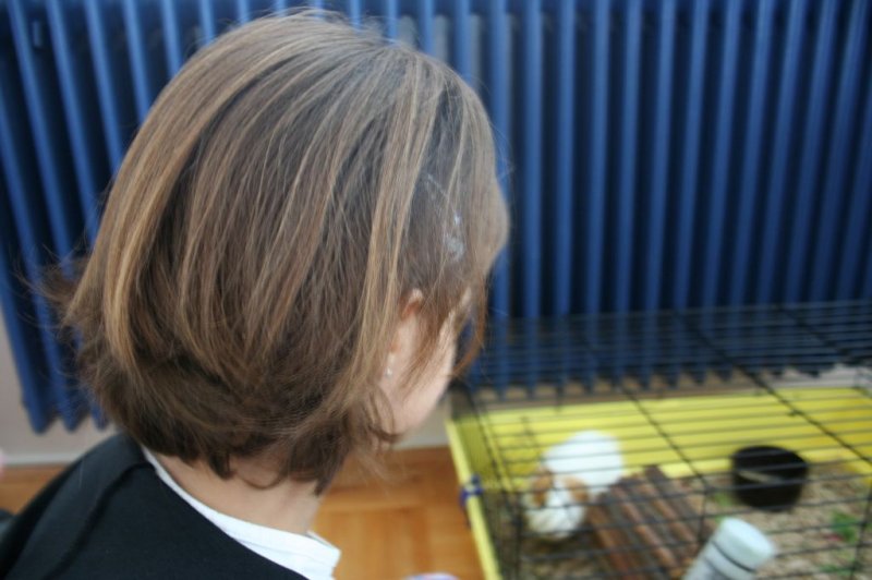 Obisk pri sošolki Anemarie